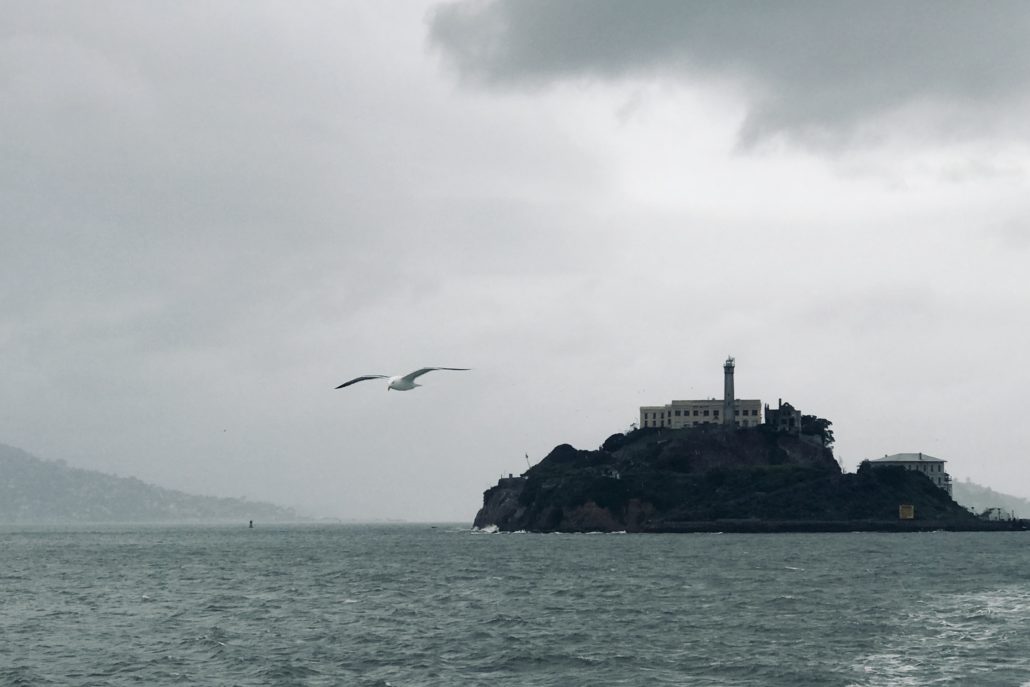 The seagulls, water, waves, and the Island of Alcatraz on a grey day, taken from a distance. 